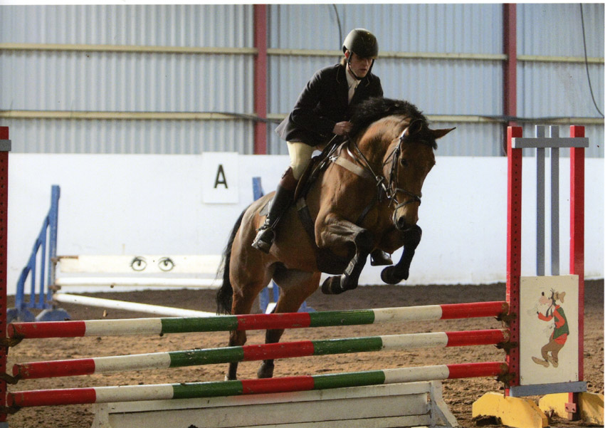 Showjumping Horse Arturos