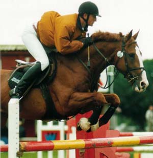 Sunnora Son - Showjumper