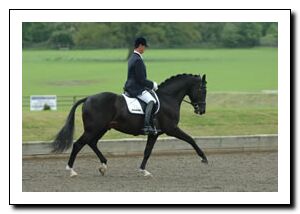 Carl Hester & Uthopia