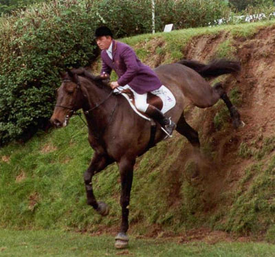 Welham Show Jumping Horse - John Whitaker