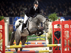 Show Jumping Stallion                                                                                                                                                                                                                                          