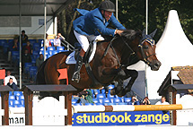 Show Jumping Stallion Zandor Z